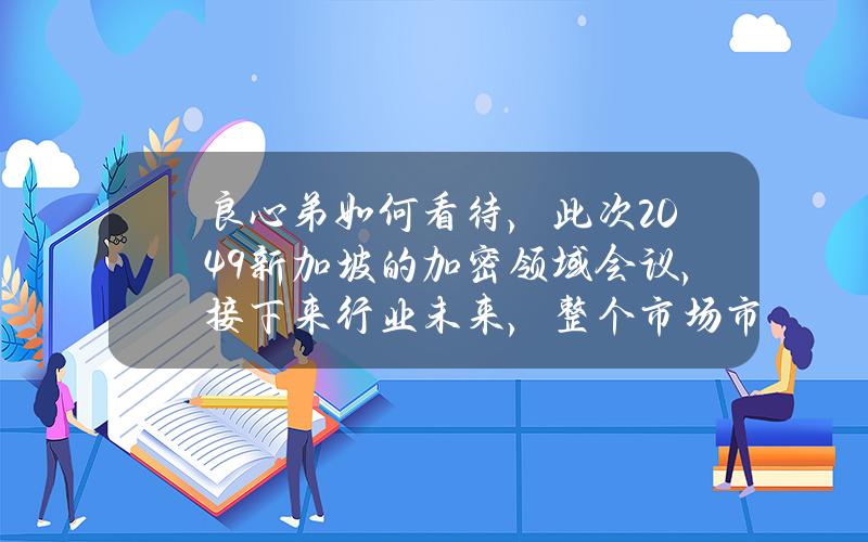 良心弟如何看待，此次2049新加坡的加密领域会议，接下来行业未来，整个市场市场走向