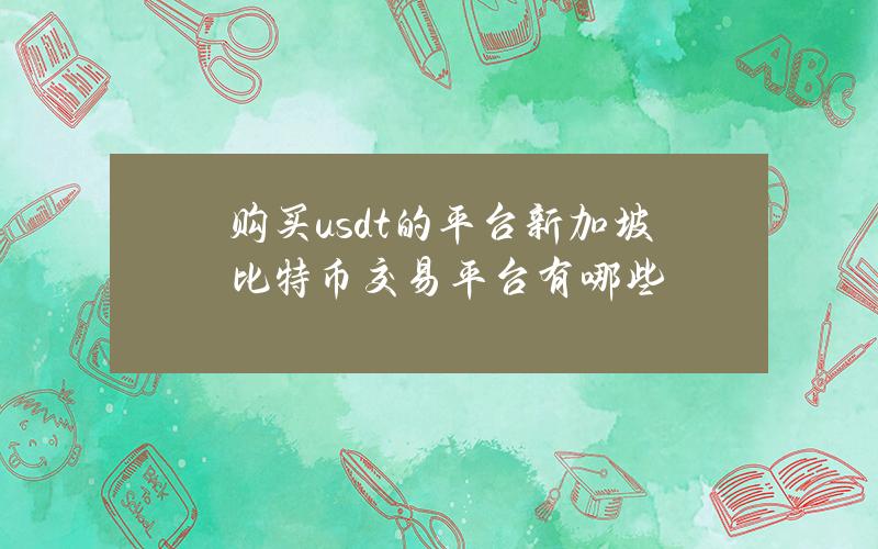 购买usdt的平台新加坡比特币交易平台有哪些