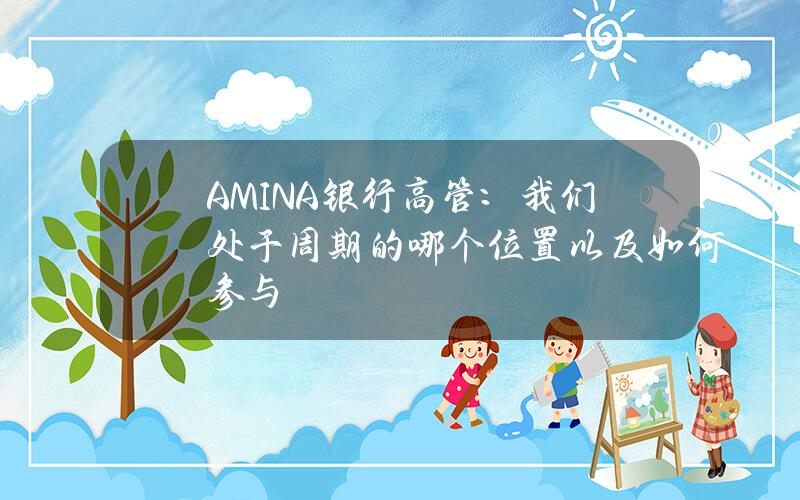 AMINA银行高管：我们处于周期的哪个位置以及如何参与？